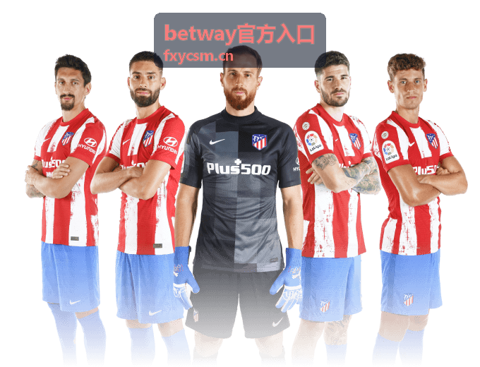 betway官方入口平台用户体验评测
