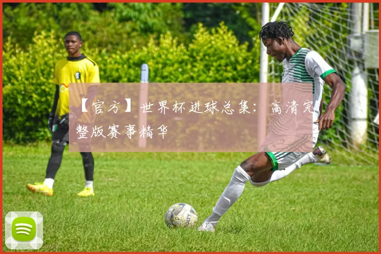 【官方】世界杯进球总集：高清完整版赛事精华