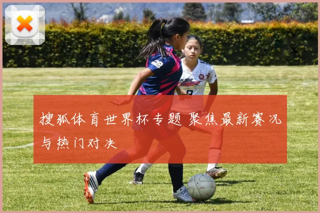 搜狐体育世界杯专题 聚焦最新赛况与热门对决