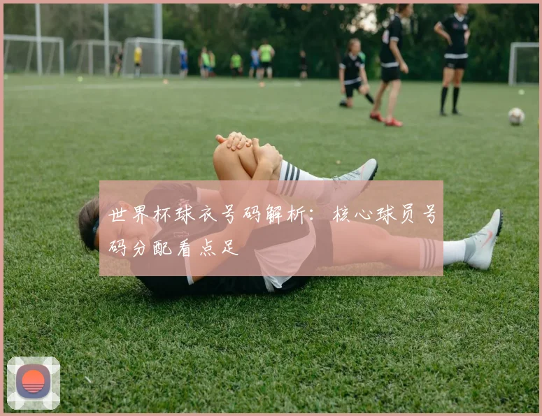 世界杯球衣号码解析：核心球员号码分配看点足