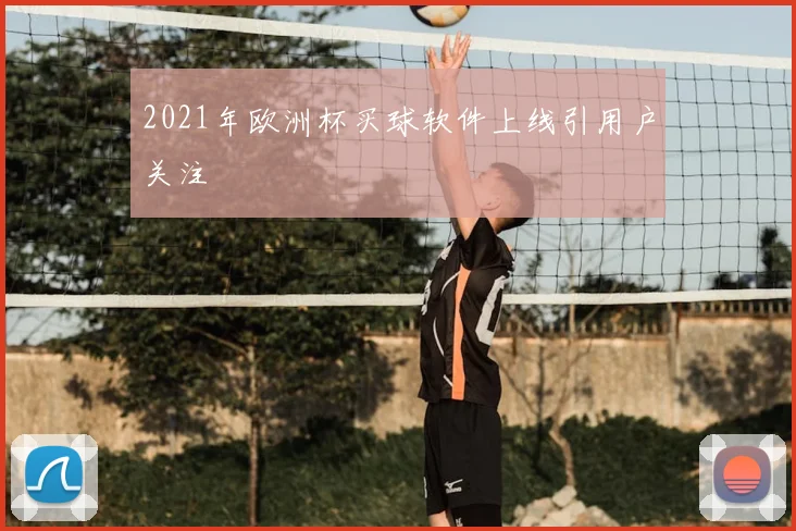 2021年欧洲杯买球软件上线引用户关注