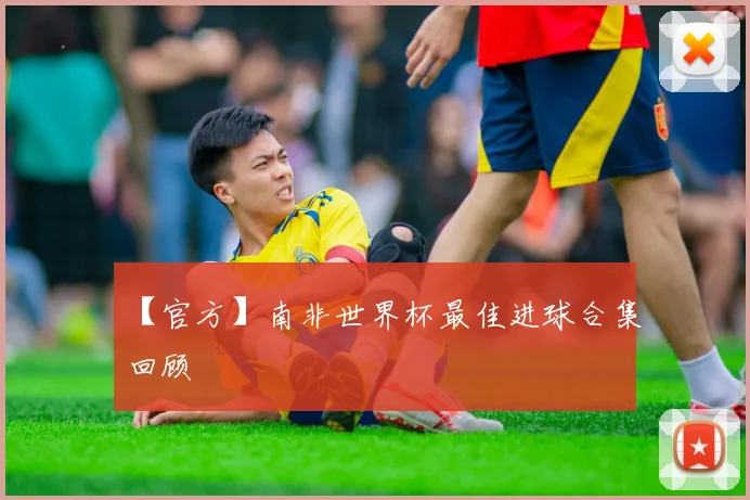 【官方】南非世界杯最佳进球合集回顾