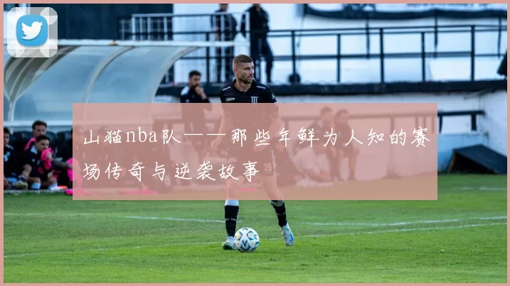 山猫nba队——那些年鲜为人知的赛场传奇与逆袭故事