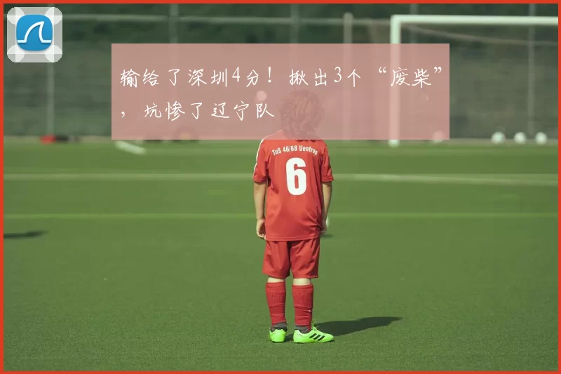 输给了深圳4分！揪出3个“废柴”，坑惨了辽宁队