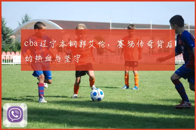 cba辽宁本钢郭艾伦，赛场传奇背后的热血与坚守