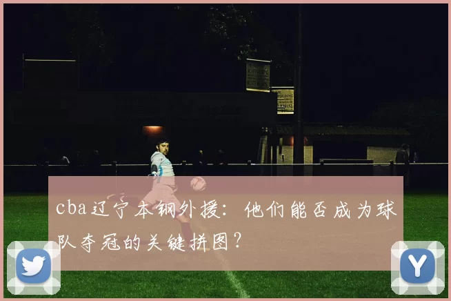 cba辽宁本钢外援：他们能否成为球队夺冠的关键拼图？