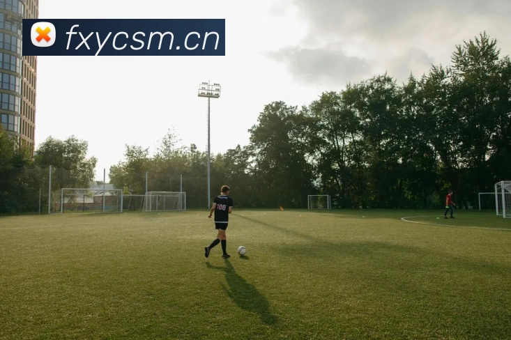 kaiyun体育在线登陆入口(China)官方网站平台生态图