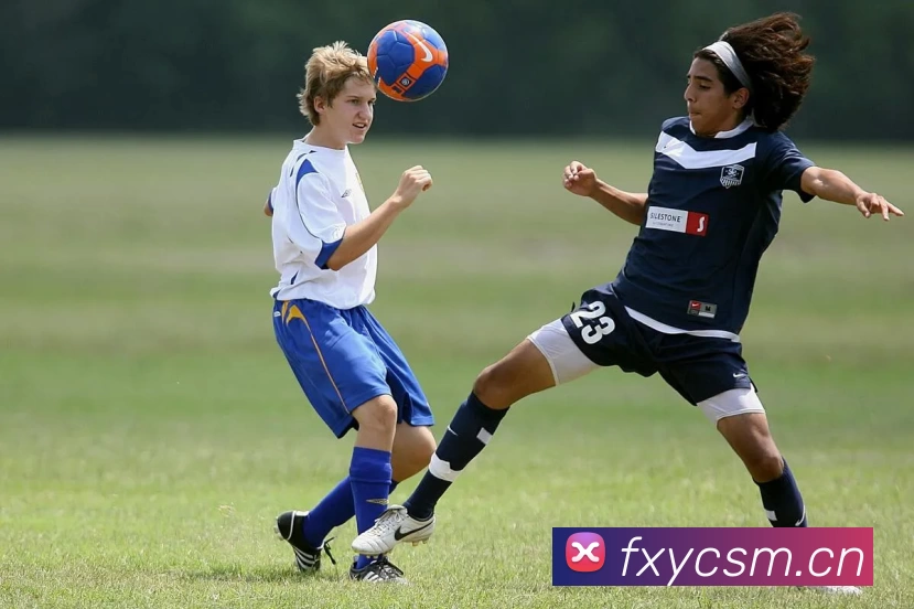 kaiyun体育在线登陆入口(China)官方网站全站App